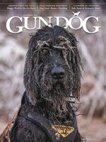 Gun Dog